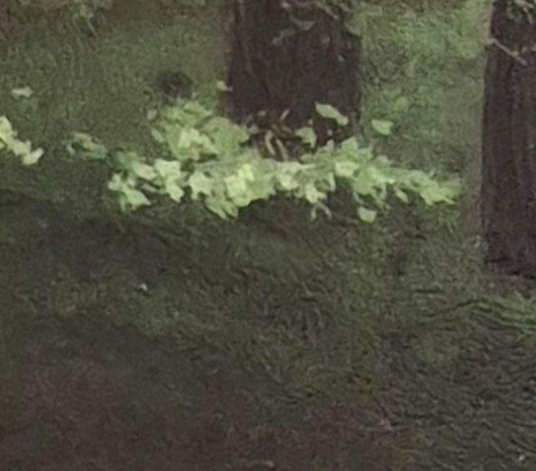 Glezna "Meža miers" - klasiska meža ainava ar upīti - Image 2