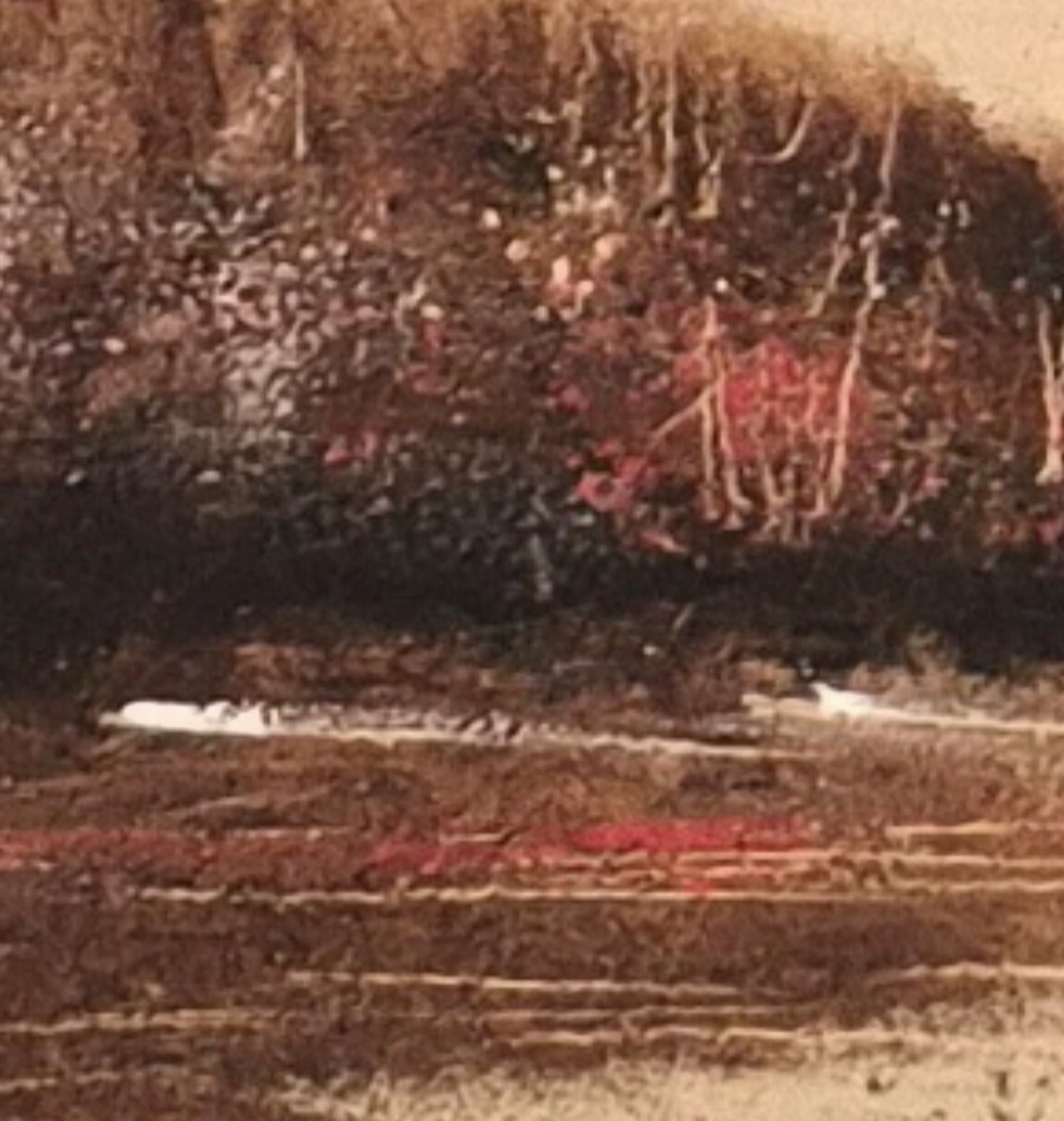 Dabas ainava "Jāņi" - Image 4